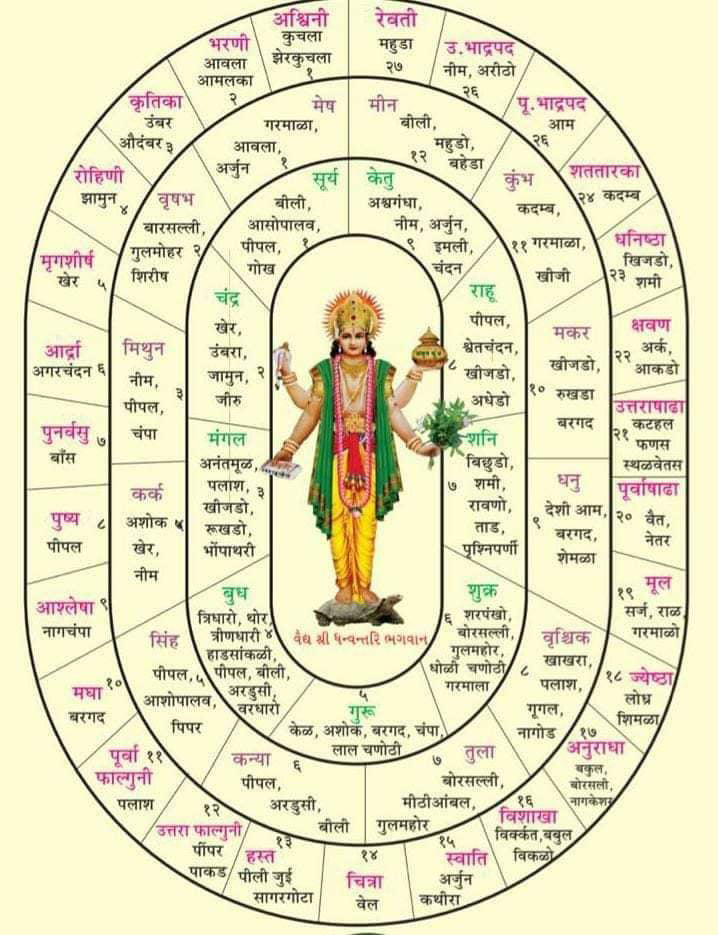 1:1 Three Month Advanced Astrology Course