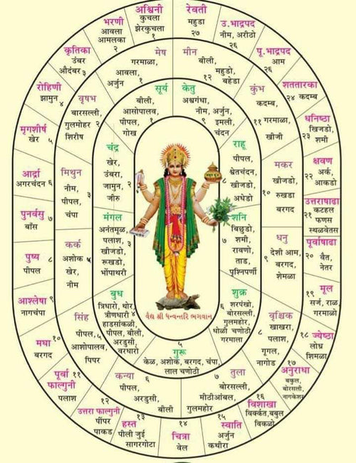 1:1 Three Month Advanced Astrology Course